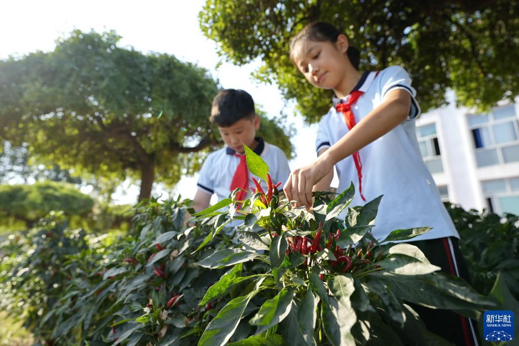 bet欧洲官网
